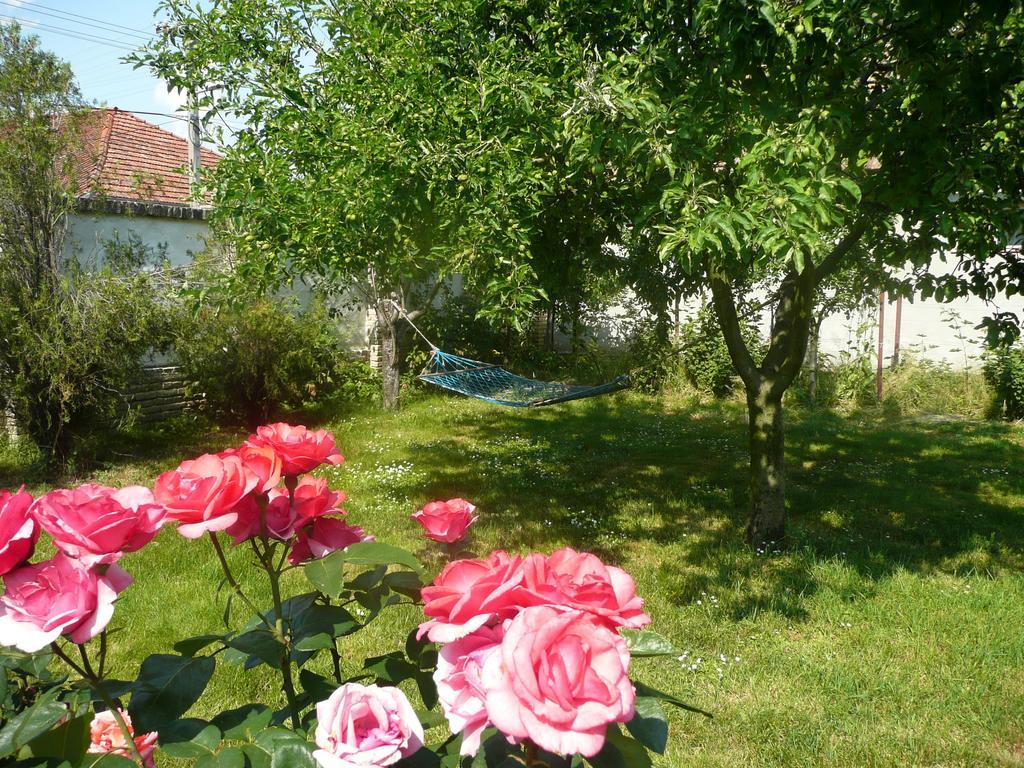 Guest House Tisza Haz Senta Екстер'єр фото