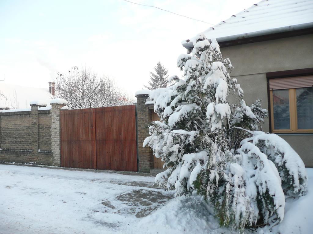 Guest House Tisza Haz Senta Екстер'єр фото