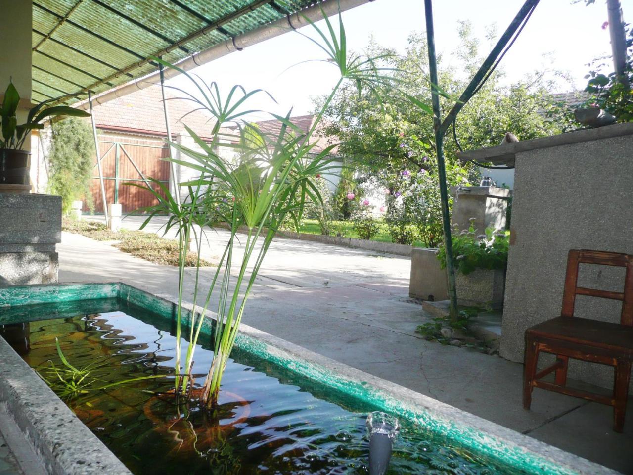 Guest House Tisza Haz Senta Екстер'єр фото
